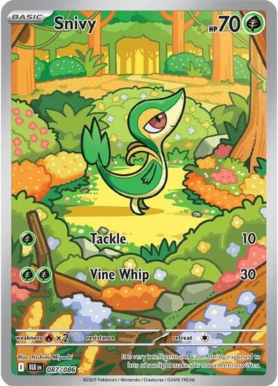 Snivy - 087/086 - SV: Black Bolt - 087/086